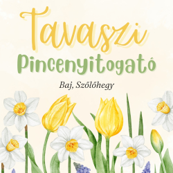 Tavaszi Pincenyitogató