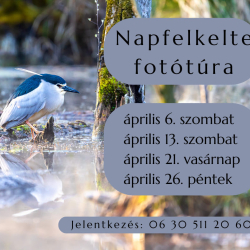 Napfelkelte fotó túra a tanösvényen