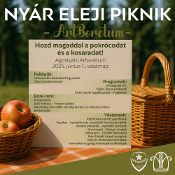 Nyár eleji piknik