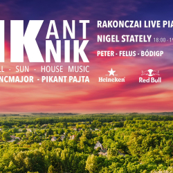 PikantPiknik