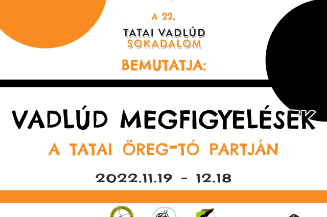 VADLÚD MEGFIGYELÉSEK AZ ÖREG-TAVON