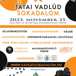 Vadlúd Sokadalom