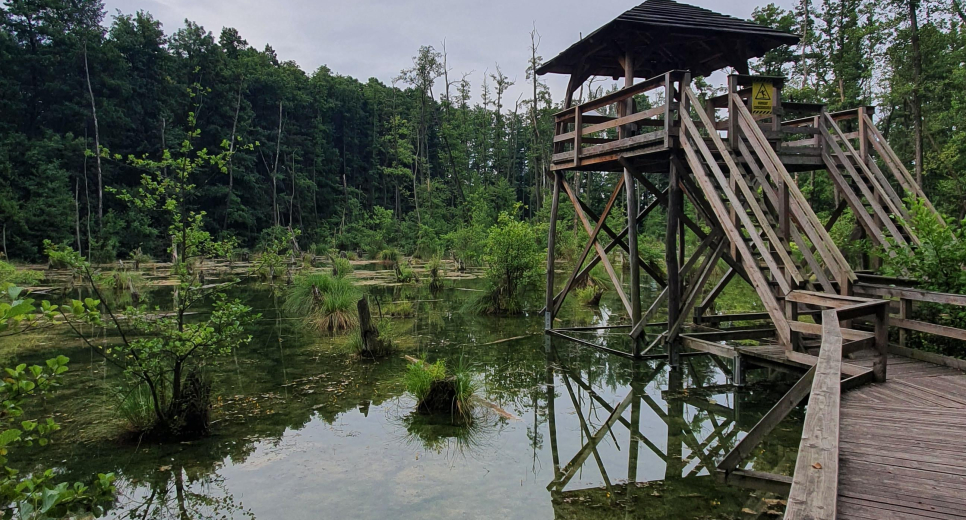 Tatai Fényes Tanösvény Tatai Fényes Tanösvény
