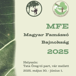 Magyar Famászó Bajnokság