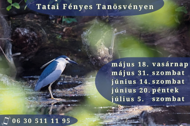 Napfelkelte fotótúra