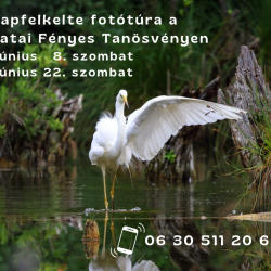 Napfelkelte fotótúra