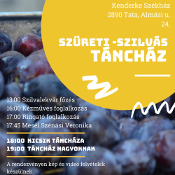 Szüreti szilvás Tácház
