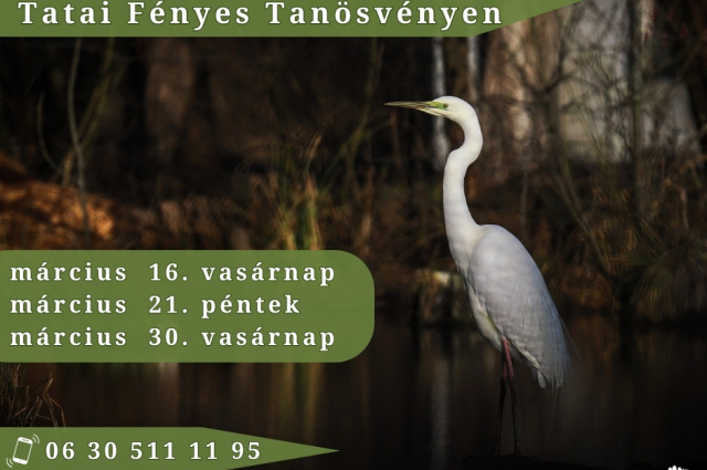 Napfelkelte fotótúra