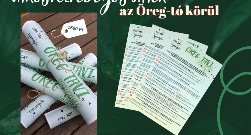 Öreg-tavi barangoló