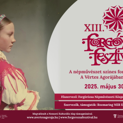 XIII. Forgórózsa Fesztivál