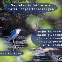Napfelkelte fotótúra