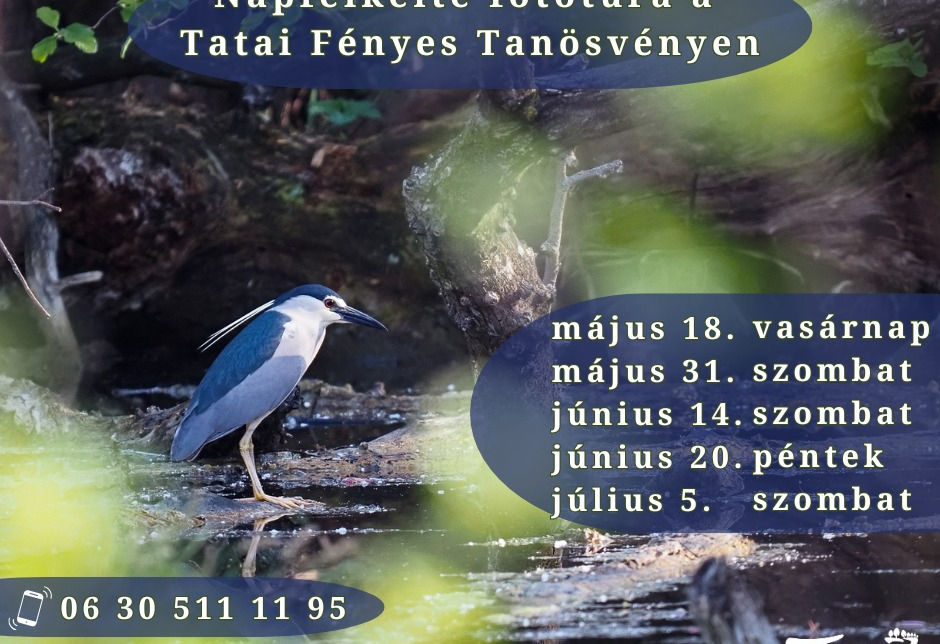 Napfelkelte fotótúra