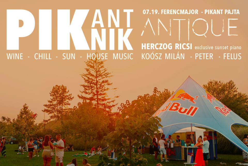 II. PikantPiknik