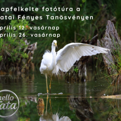 Napfelkelte fotótúra