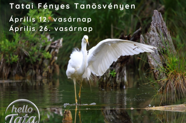 Napfelkelte fotótúra