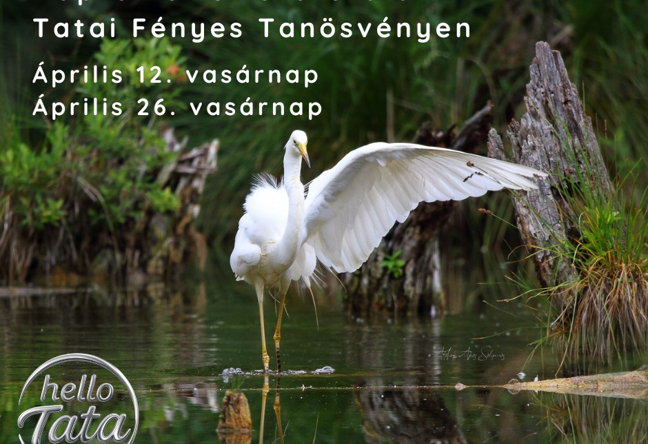 Napfelkelte fotótúra