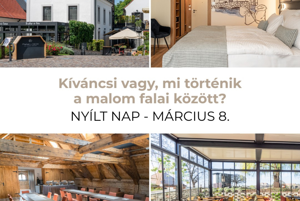 Nyílt nap