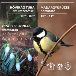 Hóvirág túra és madárgyűrűzés
