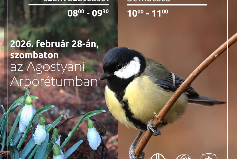 Hóvirág túra és madárgyűrűzés