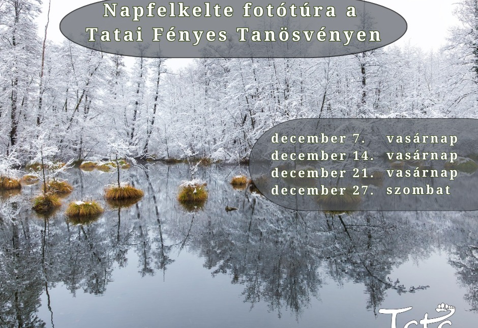 Napfelkelte fotótúra a tanösvényen