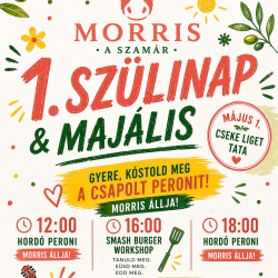 Morris a szamár