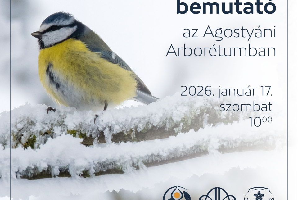 Madárgyűrűzési bemutató