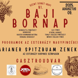 Szent Donát-napi VI. Baji Bornap