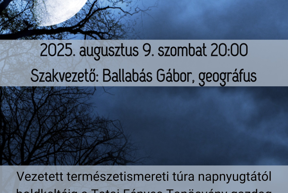 Alkonytúra a tanösvényen