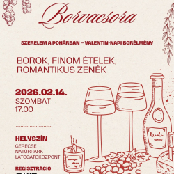 Valentin-napi borvacsora