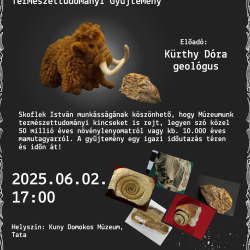 Múzeumi Szabadegyetem