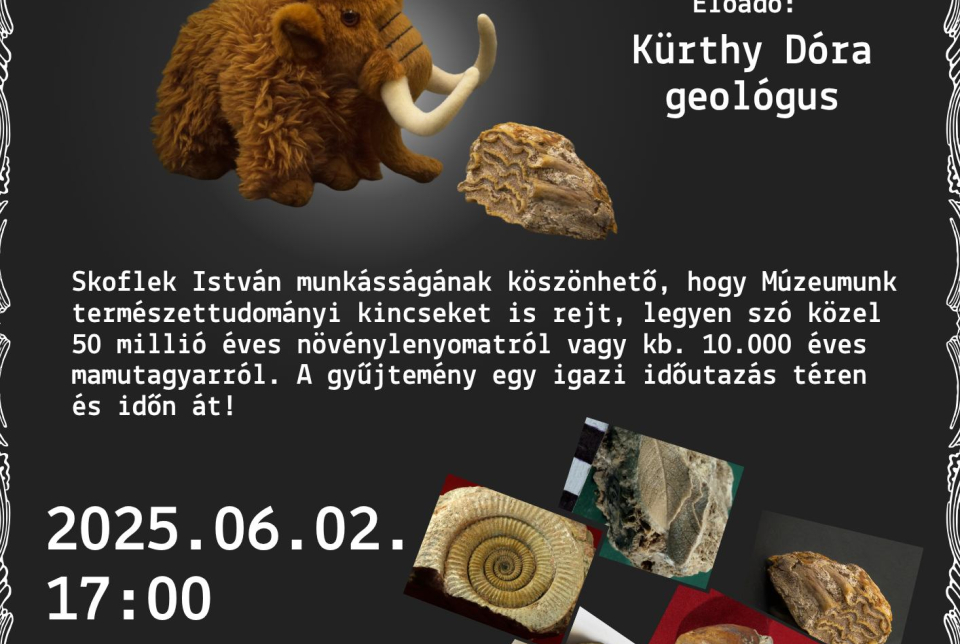 Múzeumi Szabadegyetem