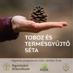 Toboz és termésgyűjtő séta